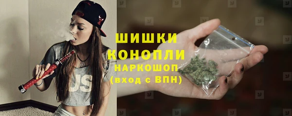 PSILOCYBIN Абаза