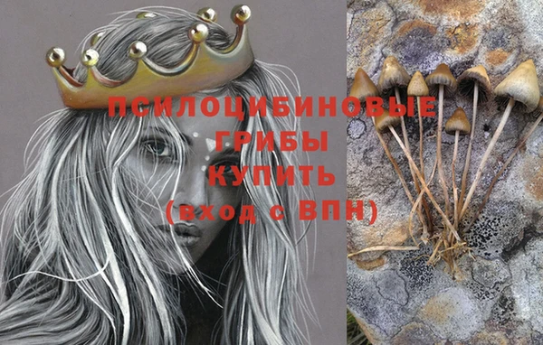 PSILOCYBIN Абаза