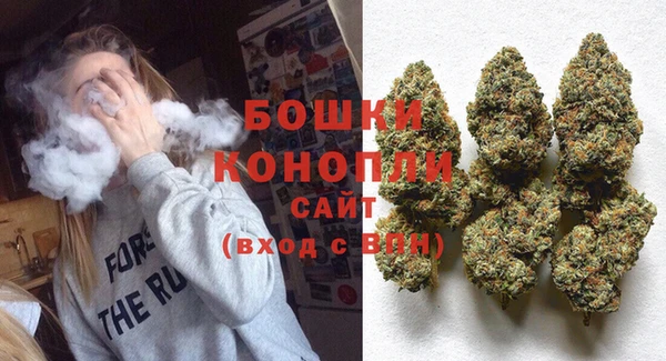 PSILOCYBIN Абаза