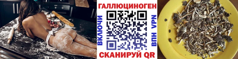 дарнет шоп Зубцов Псилоцибиновые грибы GOLDEN TEACHER