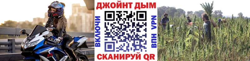 Конопля индика  наркотики  Зубцов 